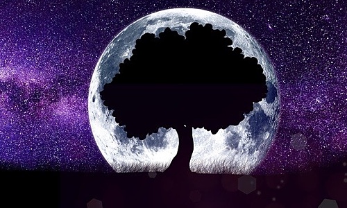 Image for 'Can I Change My Numerology Numbers?' article at AffinityNumerology.com Image for 'Can I Change My Numerology Numbers?' numerology article